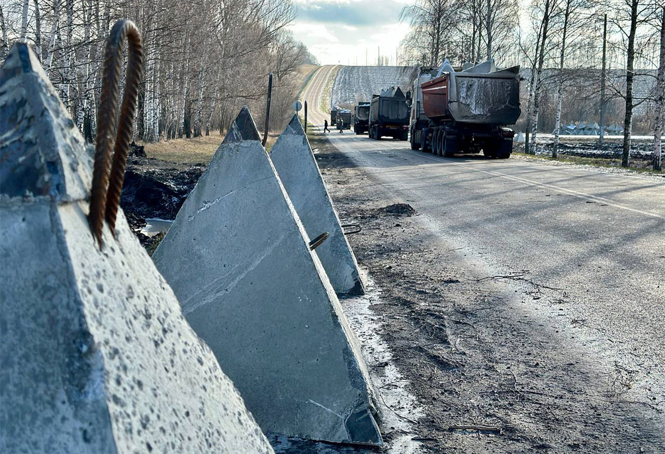 Белгородская засечная черта фото