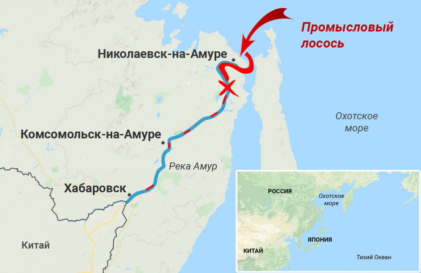 Коренные народы обвиняют в истощении запасов лосося в реке Амур коммерческий промысел. MT