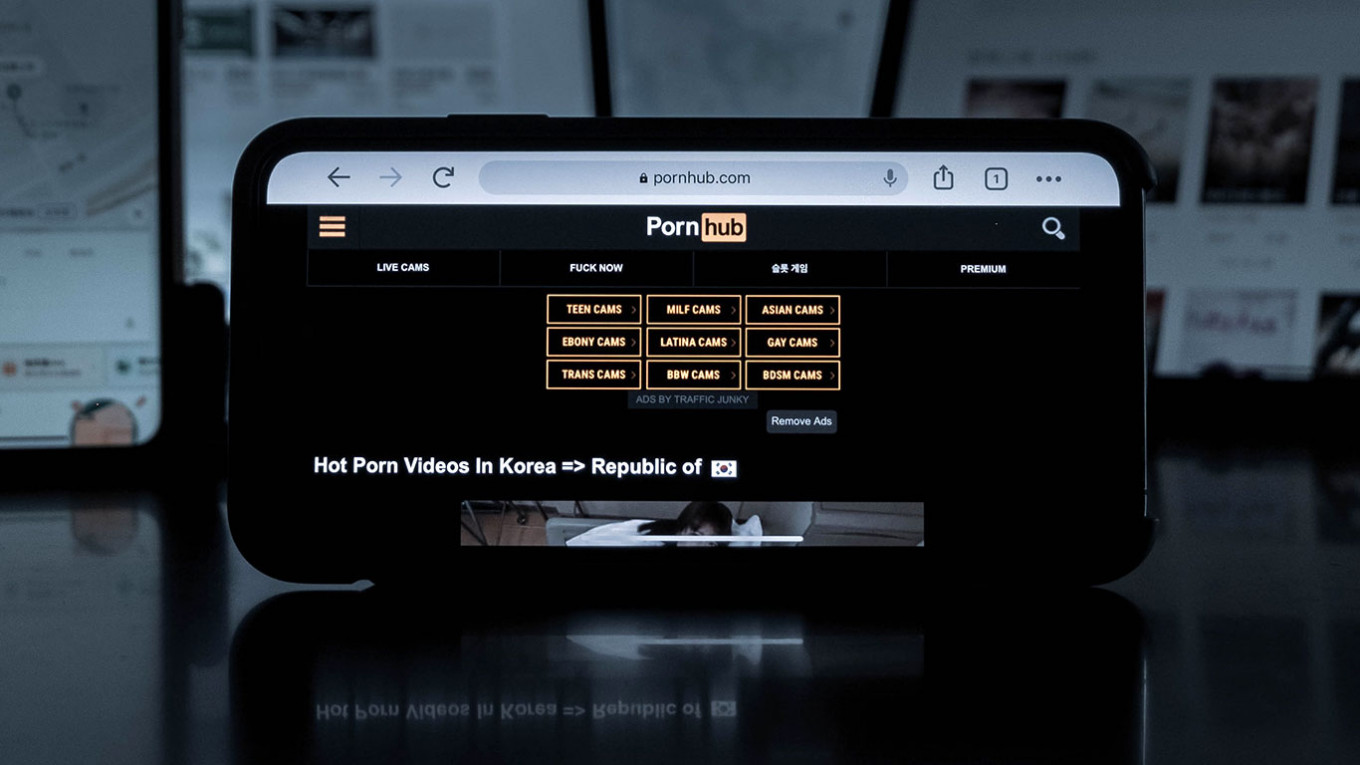 Россиянам начали продавать доступ к Pornhub и Netflix в даркнете - Русская  служба The Moscow Times