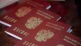Россиян начнут лишать приобретенного гражданства за развратные действия и организацию нелегальной миграции 