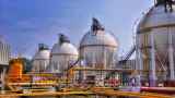 Индия стала скупать нефть из Ирака и Катара после введения санкций против «Лукойла» и «Роснефти»