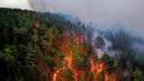 Фото: масштабные лесные пожары охватили Сибирь