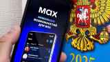 Вход в «Госуслуги» привяжут к госмессенджеру МАХ