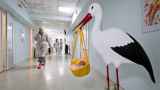 Более 20 российских регионов ввели штрафы за «склонение к абортам»