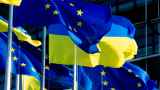 «Хорошая сделка». ЕС расширил доступ украинской сельхозпродукции на свой рынок после отмены беспошлинного режима 