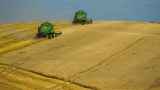 Цены на пшеницу подскочили до 5-месячного максимума после обстрела Россией порта на Дунае