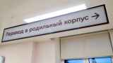 В России предложили отключать интернет по ночам для повышения рождаемости