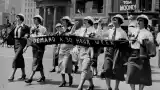 Красная плесень. Кто и как украл и изгадил знамя свободы
