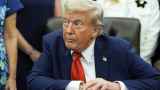 Трамп предложил России и Украине остановить войну на текущей линии соприкосновения и договориться «о чем-то» позже