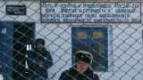 Россиян предложили отправлять в тюрьму за «кражу традиционных ценностей»