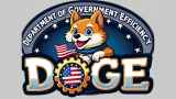 Реформа американского правительства: DOGE-стайл