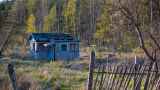 У россиян начнут изымать земельные участки за сорняки и хлам