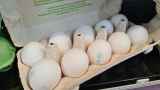 На производителей яиц завели дела после роста цен почти вдвое
