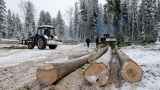 Заключенных российских тюрем массово отправили на вырубку леса