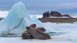 Обстановка в Арктике накаляется