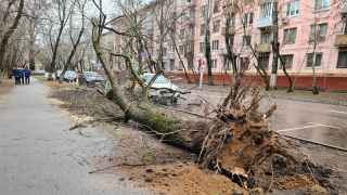 Последствия сильного ветра на ул. Таганрогская в Москве.