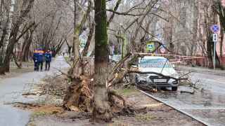 Последствия сильного ветра на ул. Таганрогская.