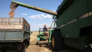 Сбор урожая пшеницы в Донецкой области Украины