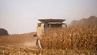 Украине из-за прекращения «зерновой сделки» становится некуда девать зерно