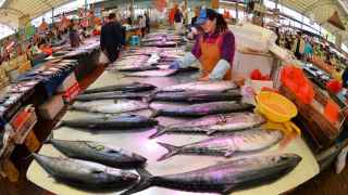 Китай ограничил импорт морепродуктов из России: на упаковке обнаружен коронавирус