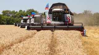Уборка урожая пшеницы в Луганской области