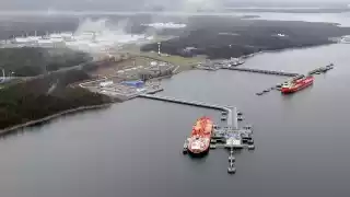 Порт Приморск