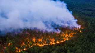 Прошлогодние лесные пожары в Сибири охватили территорию размером с Бельгию и за один месяц выбросили в атмосферу столько углекислого газа, сколько в Швеции выбрасывается за год.
