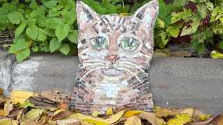 Кот, который не понравился гражданам