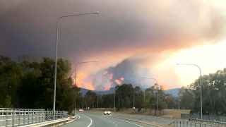 Лесные пожары в Австралии.