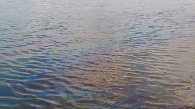 Вода в Енисее после разлива нефтепродуктов