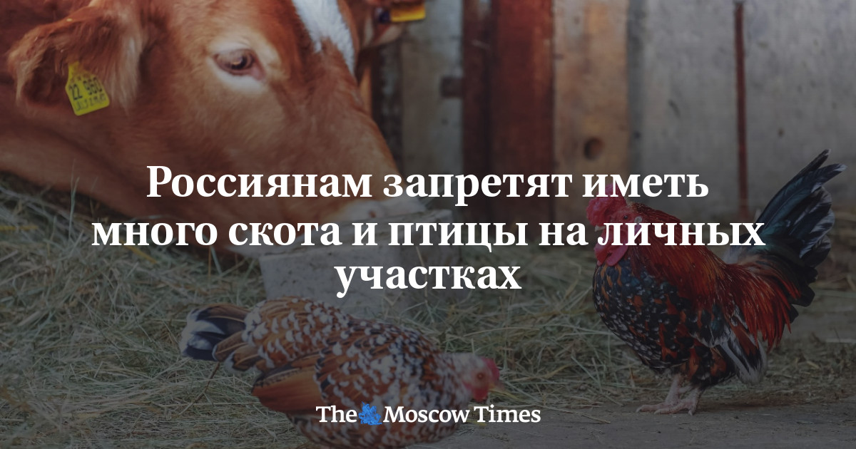 www.moscowtimes.ru